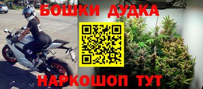 индика Свободный