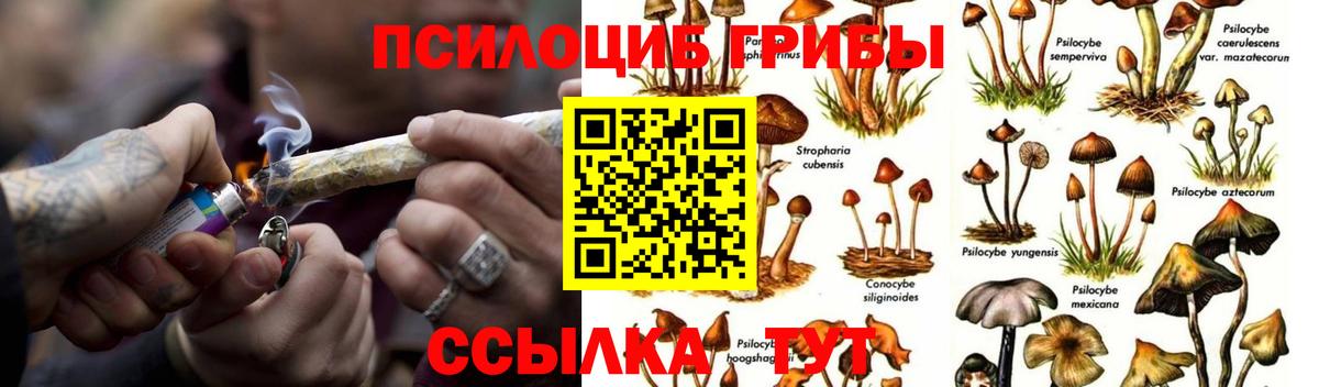 Галлюциногенные грибы ЛСД  Вход с VPN  наркота  Можга 